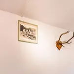 Forestside Escape For 15 Guests Awenne