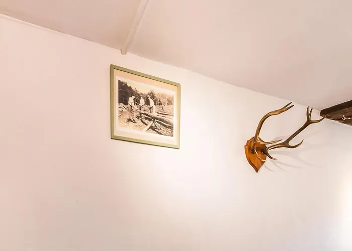 Forestside Escape For 15 Guests Awenne